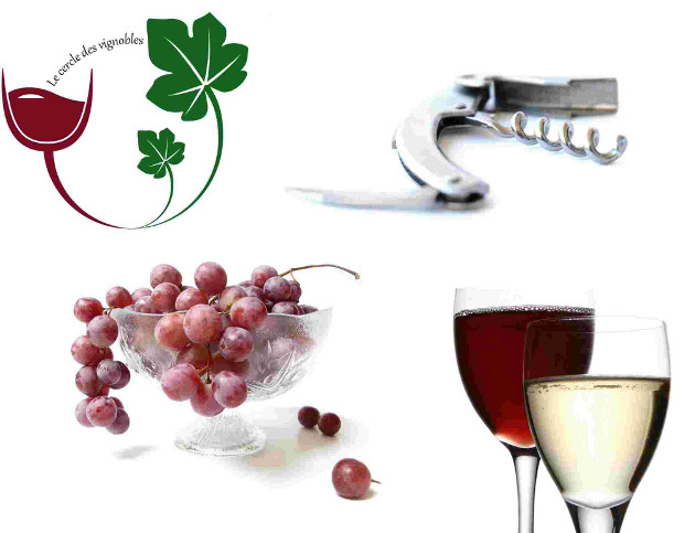 raisins, vin, le cercle des vignobles, bouchon, acteur viticole